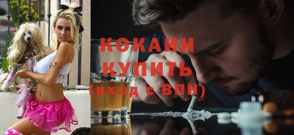дмт Верея