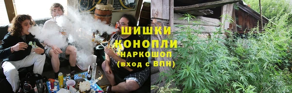дмт Верея