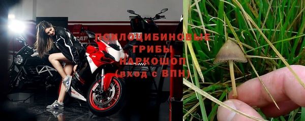 дмт Верея