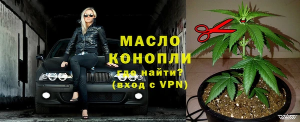 дмт Верея