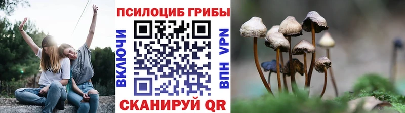 Псилоцибиновые грибы ЛСД  Альметьевск 