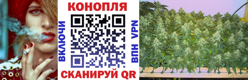 Каннабис семена  цены   блэк спрут вход  Альметьевск 